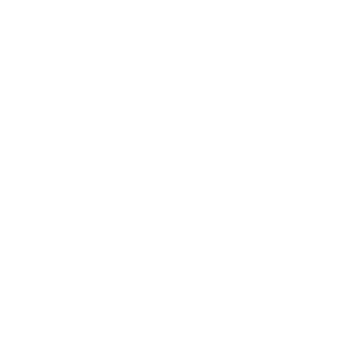 The Bay Company